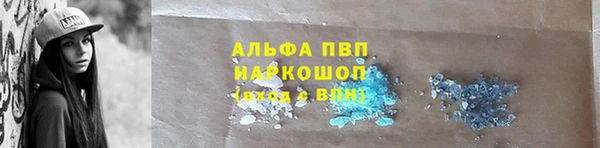 молекула духа Костерёво