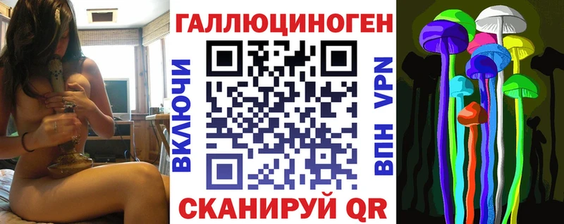 купить  сайты  Иваново  мега онион  Галлюциногенные грибы Psilocybine cubensis 